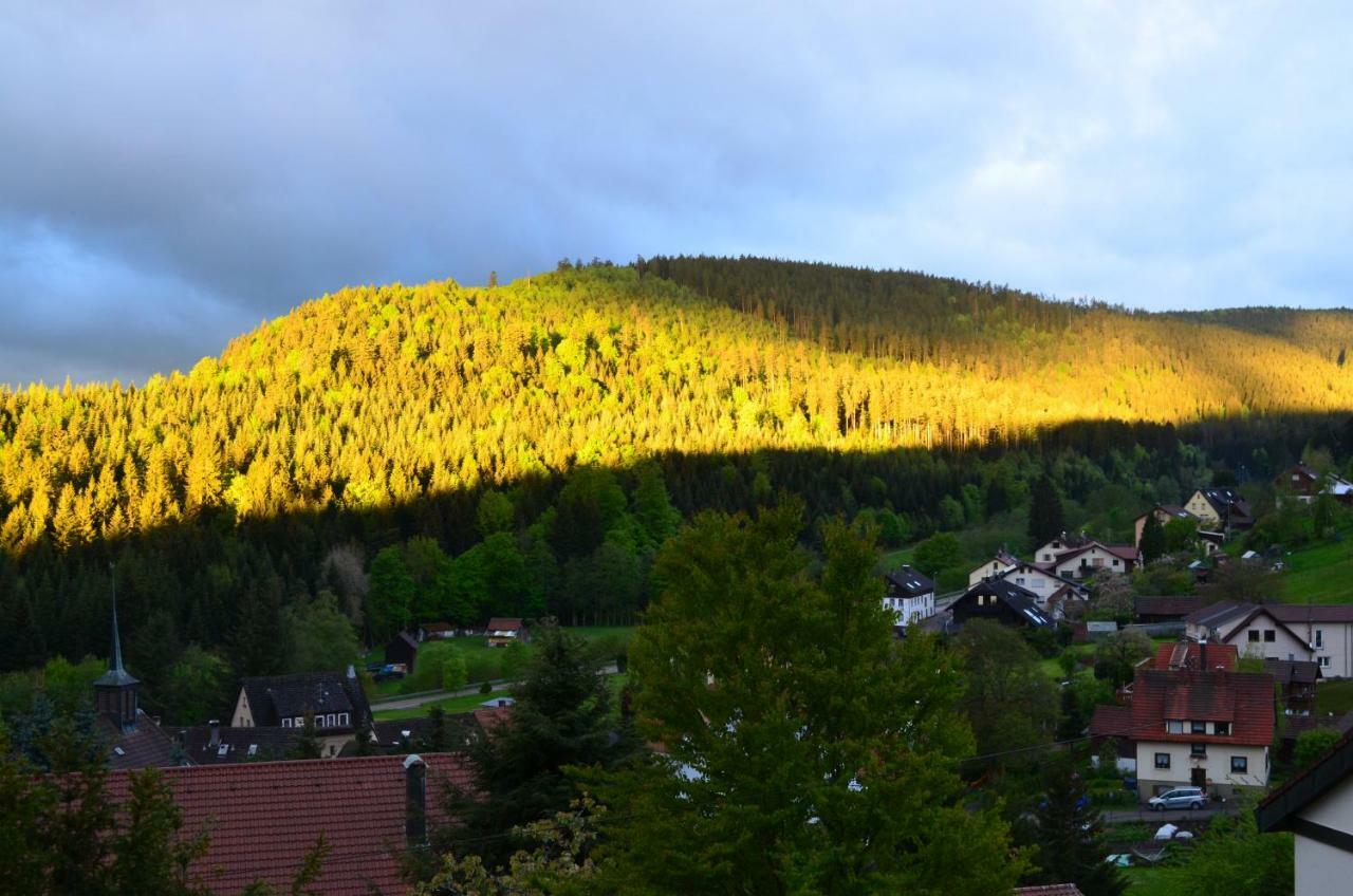 Ferienwohnung Am Kurpark Bad Wildbad Exteriér fotografie