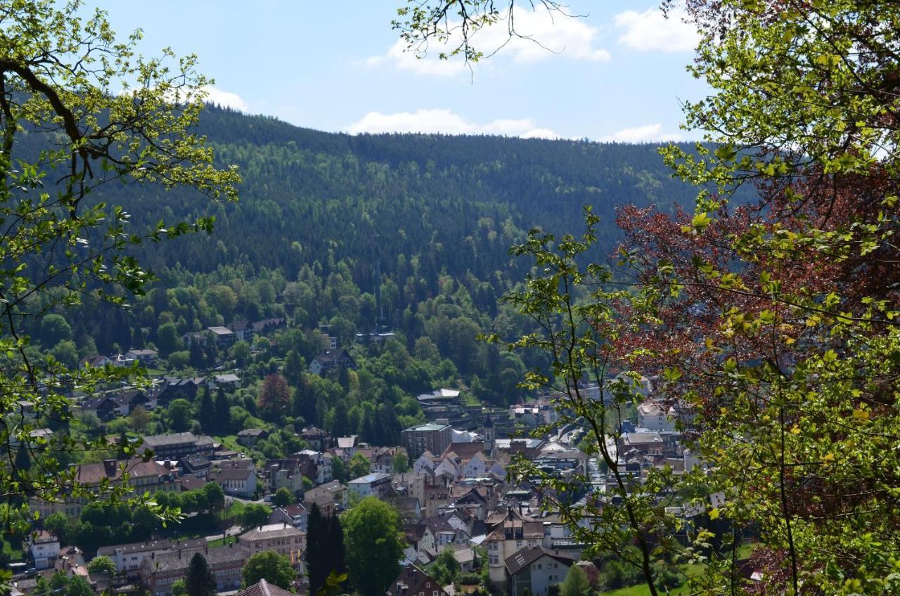 Ferienwohnung Am Kurpark Bad Wildbad Exteriér fotografie