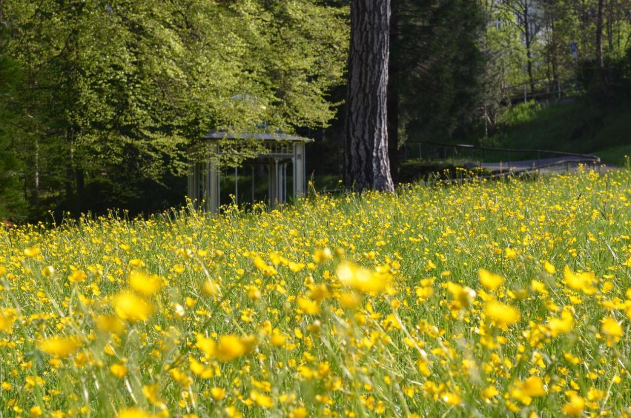 Ferienwohnung Am Kurpark Bad Wildbad Exteriér fotografie