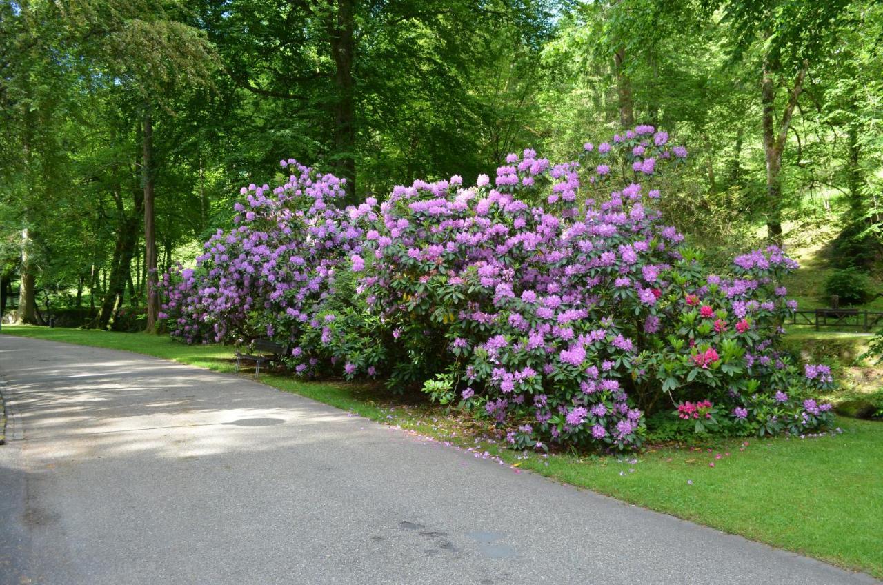 Ferienwohnung Am Kurpark Bad Wildbad Exteriér fotografie